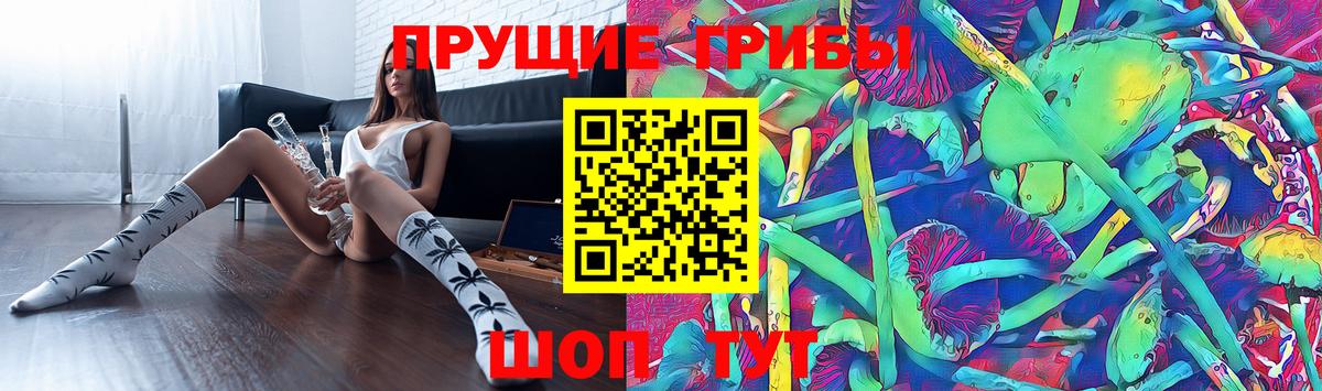 Богданович  Галлюциногенные грибы мицелий  Галлюциногенные грибы GOLDEN TEACHER  Вход с VPN 
