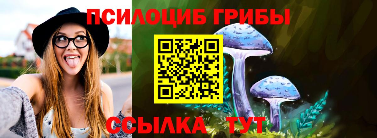 Псилоцибиновые грибы мицелий Богданович