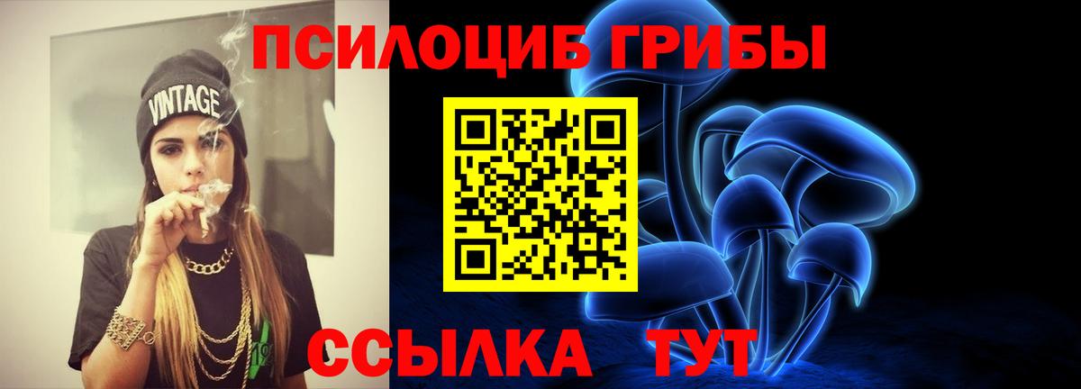 Гашиш Богданович